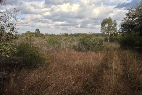 Land in Punta Gorda, Florida № 443604 - photo 15