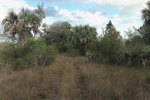 Land in Punta Gorda, Florida № 443604 - photo 10