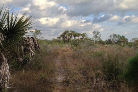 Land in Punta Gorda, Florida № 443604 - photo 17