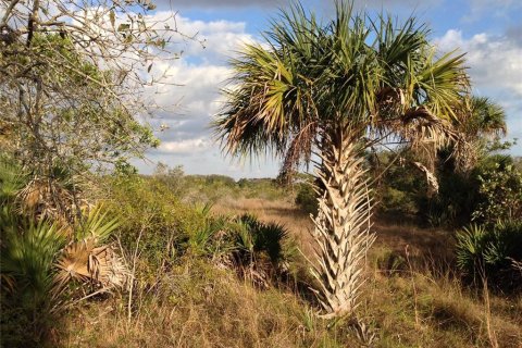 Terreno en venta en Punta Gorda, Florida № 443604 - foto 12