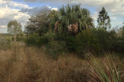 Land in Punta Gorda, Florida № 443604 - photo 16