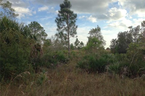 Terrain à vendre à Punta Gorda, Floride № 443604 - photo 20