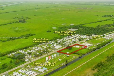 Commercial property in Okeechobee, Florida № 1270407 - photo 10