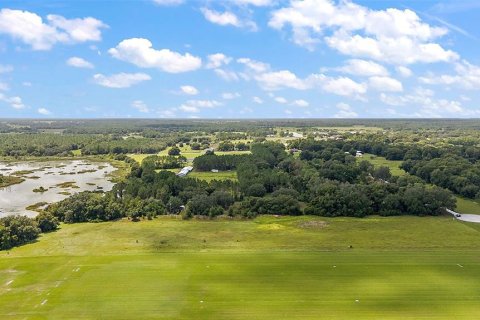 Land in Groveland, Florida № 1355841 - photo 7