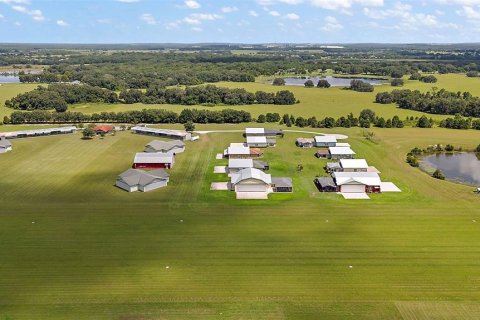 Land in Groveland, Florida № 1355841 - photo 10