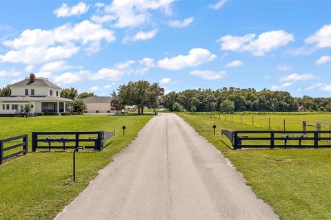 Land in Groveland, Florida № 1355841 - photo 1