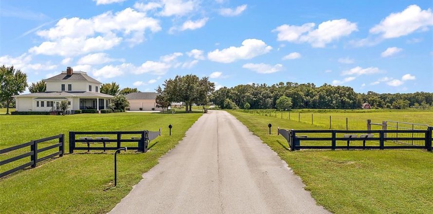 Land in Groveland, Florida № 1355841