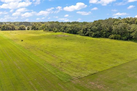 Terreno en venta en Groveland, Florida № 1355841 - foto 2