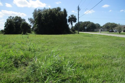 Terreno en venta en Okeechobee, Florida № 799091 - foto 4