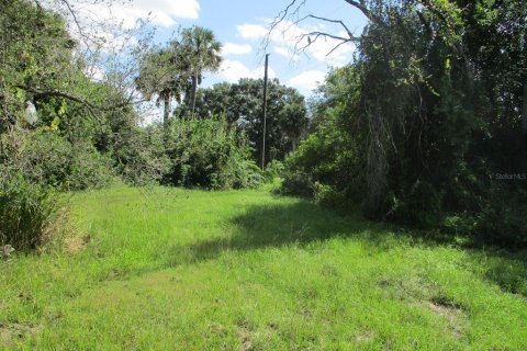 Terreno en venta en Okeechobee, Florida № 799091 - foto 13