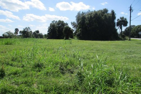 Land in Okeechobee, Florida № 799091 - photo 2