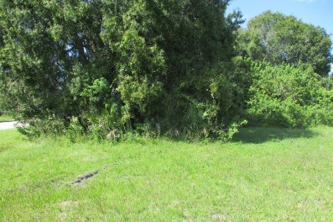 Terreno en venta en Okeechobee, Florida № 799091 - foto 6