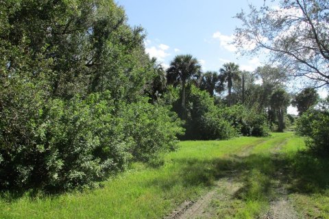 Terreno en venta en Okeechobee, Florida № 799091 - foto 12