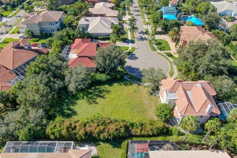 Terreno en venta en Apollo Beach, Florida № 1295842 - foto 1