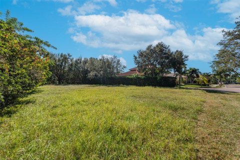 Land in Apollo Beach, Florida № 1295842 - photo 4