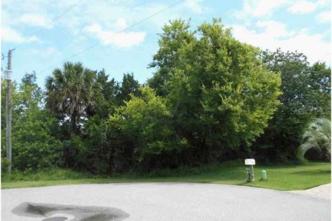 Terreno en venta en Palm Coast, Florida № 1295885 - foto 7