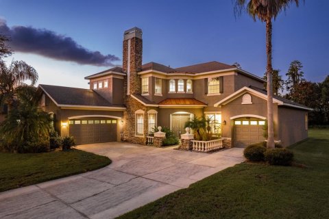 Villa ou maison à vendre à Lutz, Floride: 6 chambres, 366.31 m2 № 1371240 - photo 1