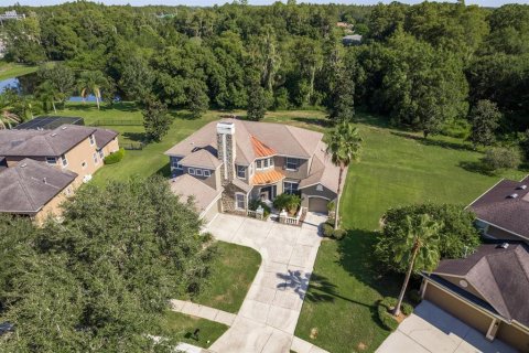 Villa ou maison à vendre à Lutz, Floride: 6 chambres, 366.31 m2 № 1371240 - photo 2