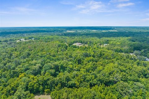 Terreno en venta en Brooksville, Florida № 1244313 - foto 6