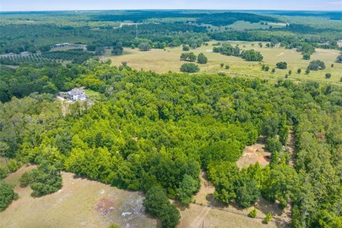 Land in Brooksville, Florida № 1244313 - photo 14