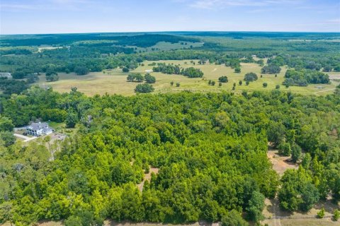 Terreno en venta en Brooksville, Florida № 1244313 - foto 8