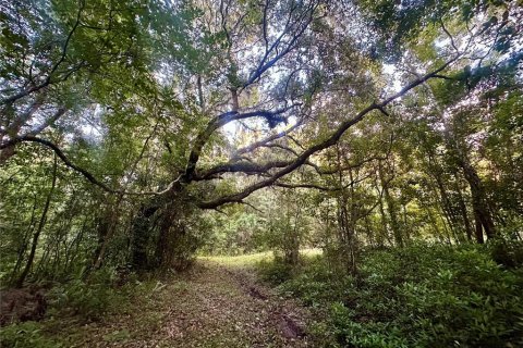 Land in Brooksville, Florida № 1244313 - photo 27