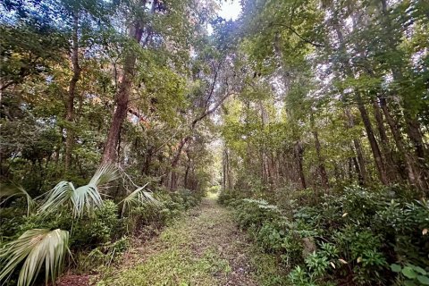 Land in Brooksville, Florida № 1244313 - photo 20