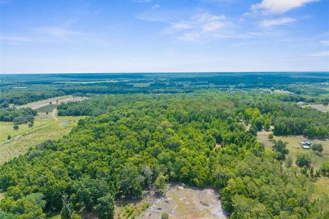 Terreno en venta en Brooksville, Florida № 1244313 - foto 10