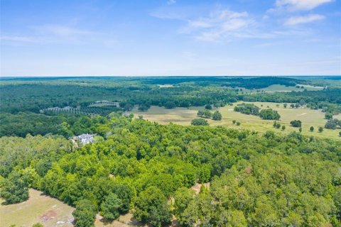 Land in Brooksville, Florida № 1244313 - photo 3