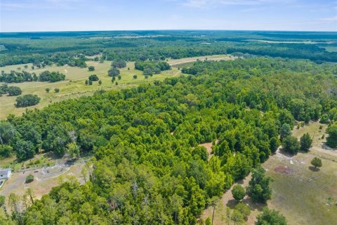 Terreno en venta en Brooksville, Florida № 1244313 - foto 9