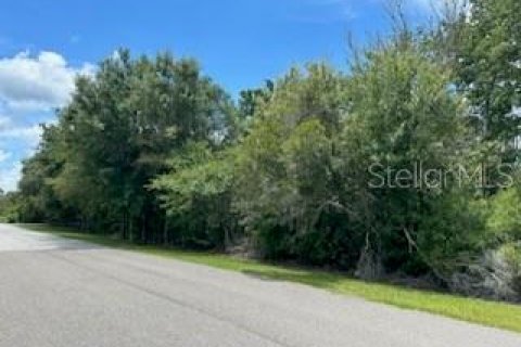 Land in Wesley Chapel, Florida № 1301165 - photo 2