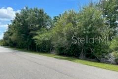 Land in Wesley Chapel, Florida № 1301165 - photo 3