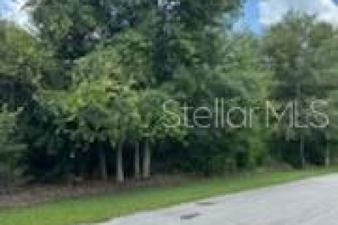 Terreno en venta en Wesley Chapel, Florida № 1301165 - foto 5