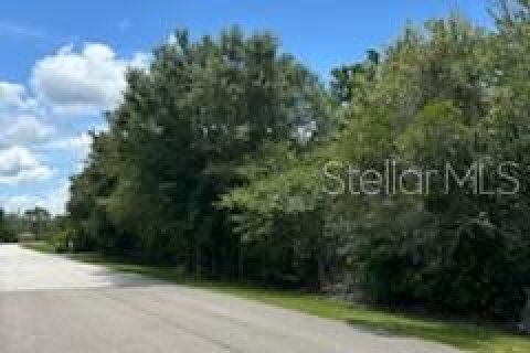 Land in Wesley Chapel, Florida № 1301165 - photo 1