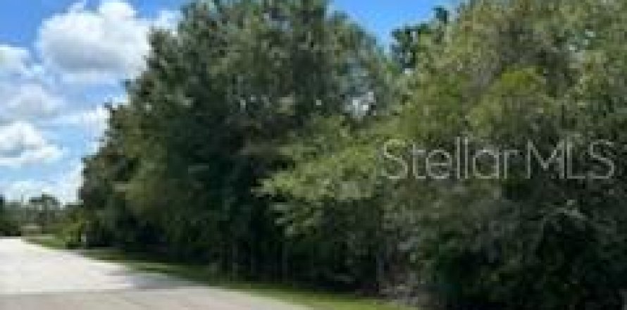 Land in Wesley Chapel, Florida № 1301165