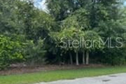 Terreno en venta en Wesley Chapel, Florida № 1301165 - foto 4