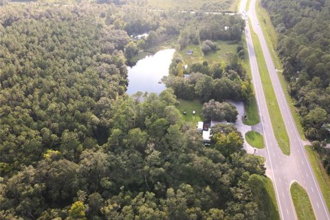 Land in Micanopy, Florida № 1339582 - photo 8