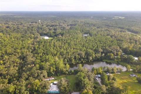 Terreno en venta en Micanopy, Florida № 1339582 - foto 12