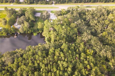 Terreno en venta en Micanopy, Florida № 1339582 - foto 11