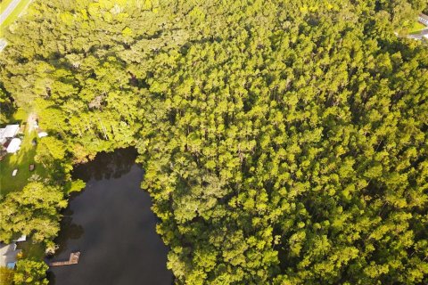 Terreno en venta en Micanopy, Florida № 1339582 - foto 10