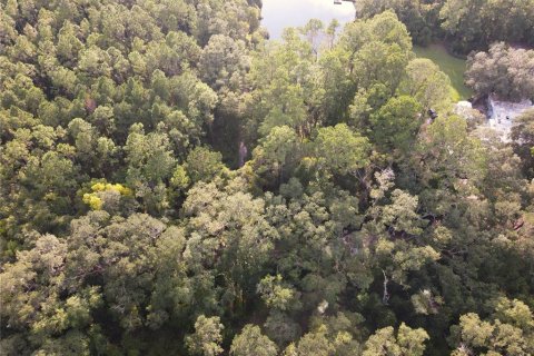 Land in Micanopy, Florida № 1339582 - photo 7