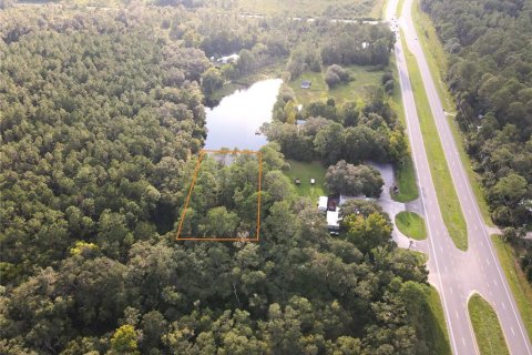 Terreno en venta en Micanopy, Florida № 1339582 - foto 4