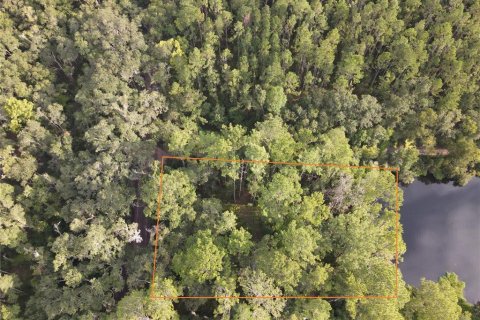 Terreno en venta en Micanopy, Florida № 1339582 - foto 1