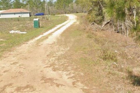 Terrain à vendre à Ocala, Floride № 1401777 - photo 4