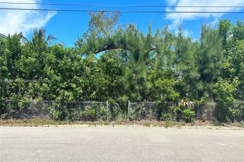 Купить земельный участок в Ки-Ларго, Флорида № 540428 - фото 1