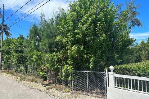 Terreno en venta en Key Largo, Florida № 540428 - foto 5