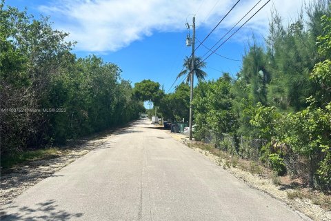Land in Key Largo, Florida № 540428 - photo 3