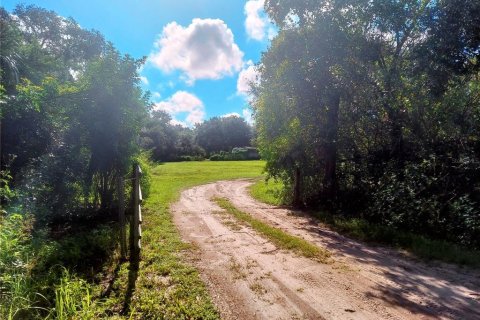 Land in Gibsonton, Florida № 1340426 - photo 1