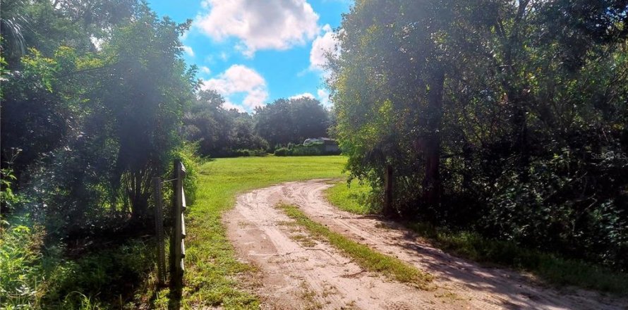 Terrain à Gibsonton, Floride № 1340426