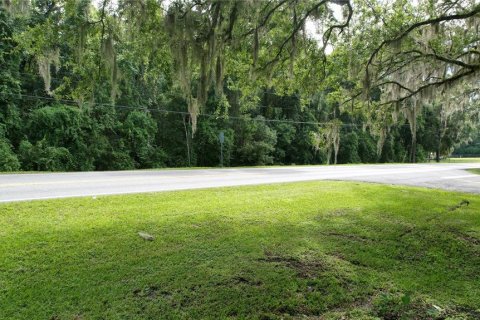 Terrain à vendre à Dunnellon, Floride № 1296180 - photo 3